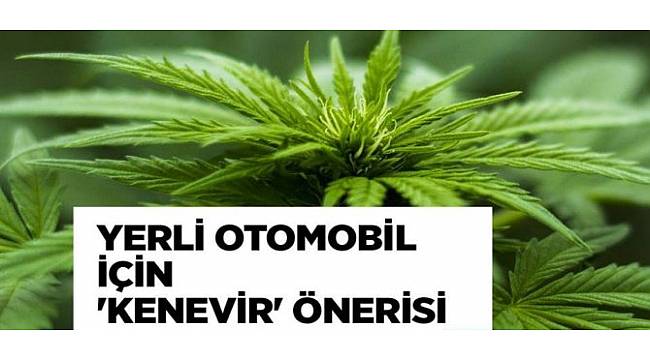 Yerli Otomobil İçin 'Kenevir' Önerisi