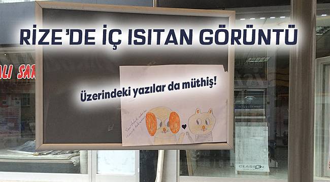 RİZE'DE İÇ ISITAN GÖRÜNTÜ