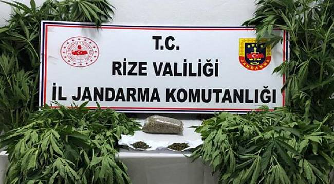 Rize'de Hint Keneviri Operasyonu