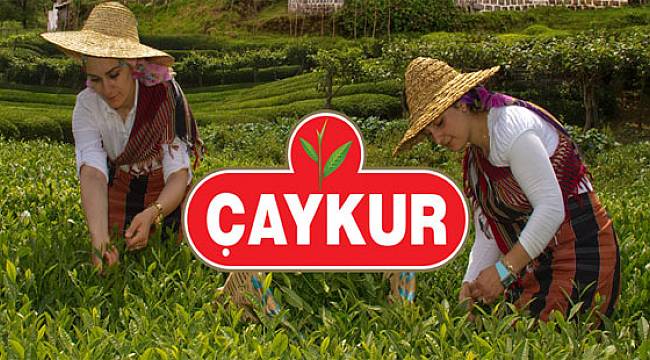 ÇAYKUR, Mayıs Ayı Çay Paralarını Üreticilerin Hesabına Aktarmaya Başladı