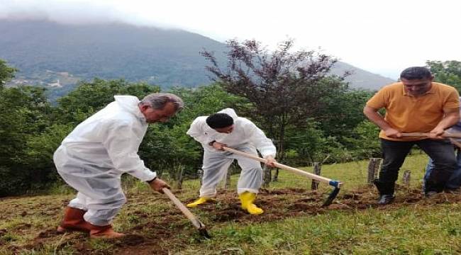 Kaymakam ve Belediye Başkanı Kazmayı Eline Aldı, Tarlaya Girdi