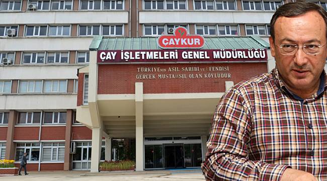 ÇAYKUR, 2. Sürgünün İlk Gününde 1200 Ton Yaş Çay Aldı