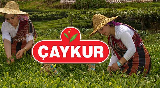 ÇAYKUR'un Rize ve Giresun Kura Çekimi 16 Mart'ta Yapılacak