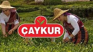 ÇAYKUR'un Rize ve Giresun Kura Çekimi 16 Mart'ta Yapılacak