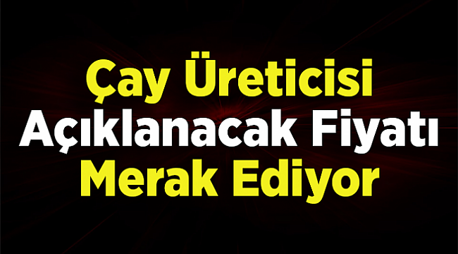 Çay Üreticisi Açıklanacak Fiyatı Merak Ediyor